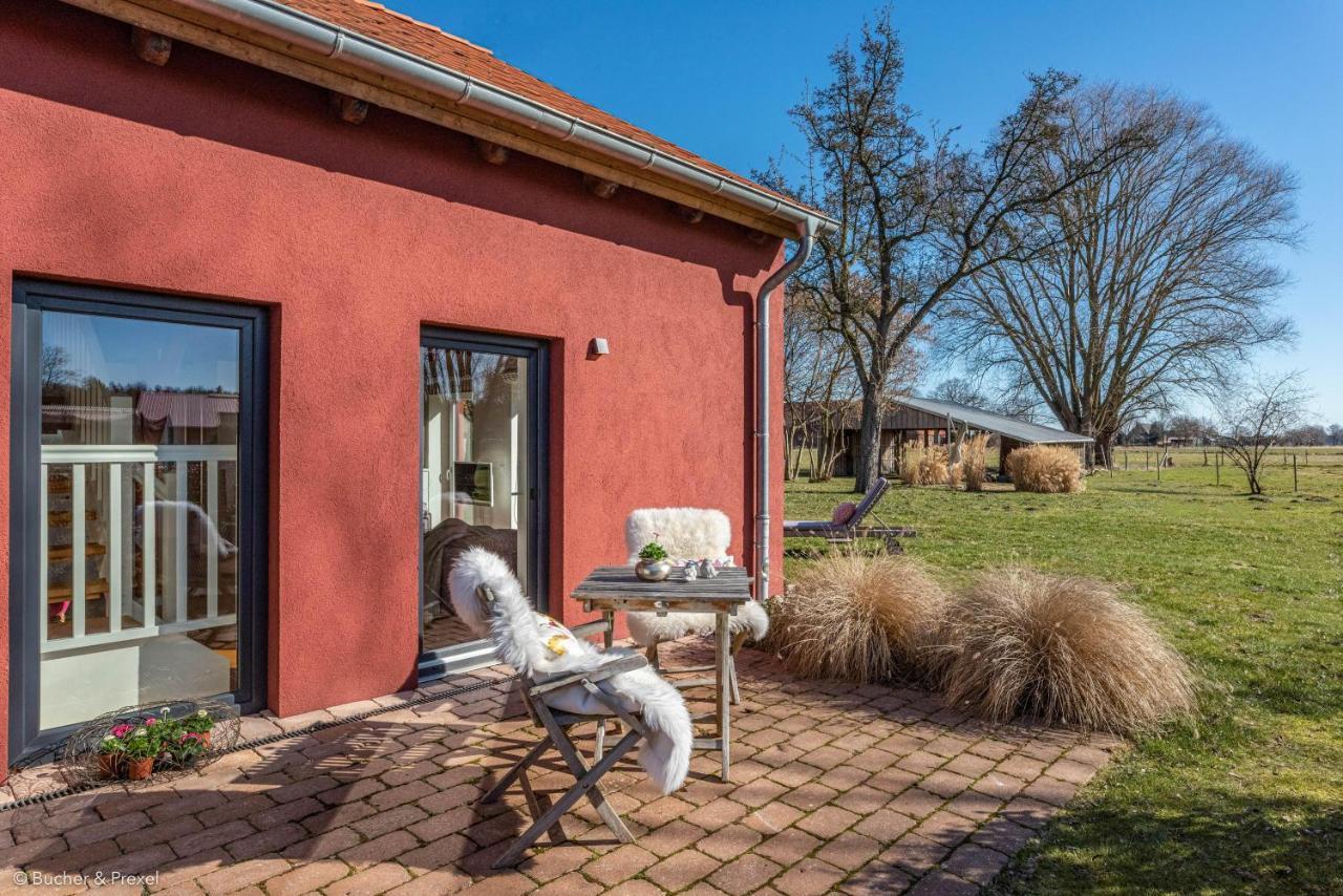 Hofgut Bockelkathen Apartment 8 Luedersburg Eksteriør billede
